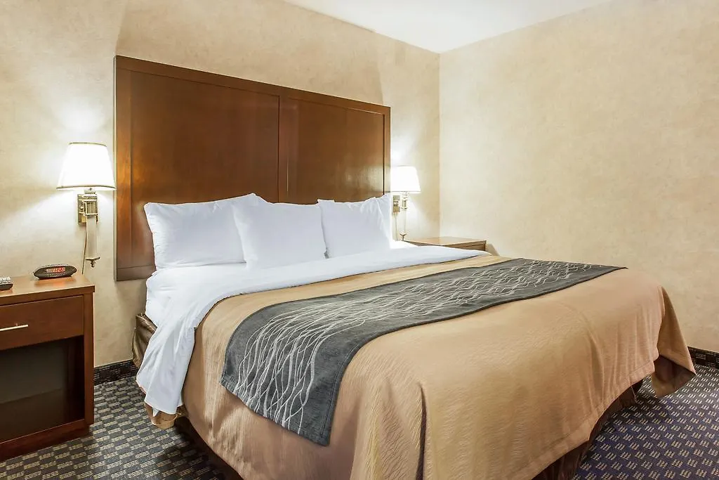 Comfort Inn & Suites Sea-Tac Airport SeaTac Hotel